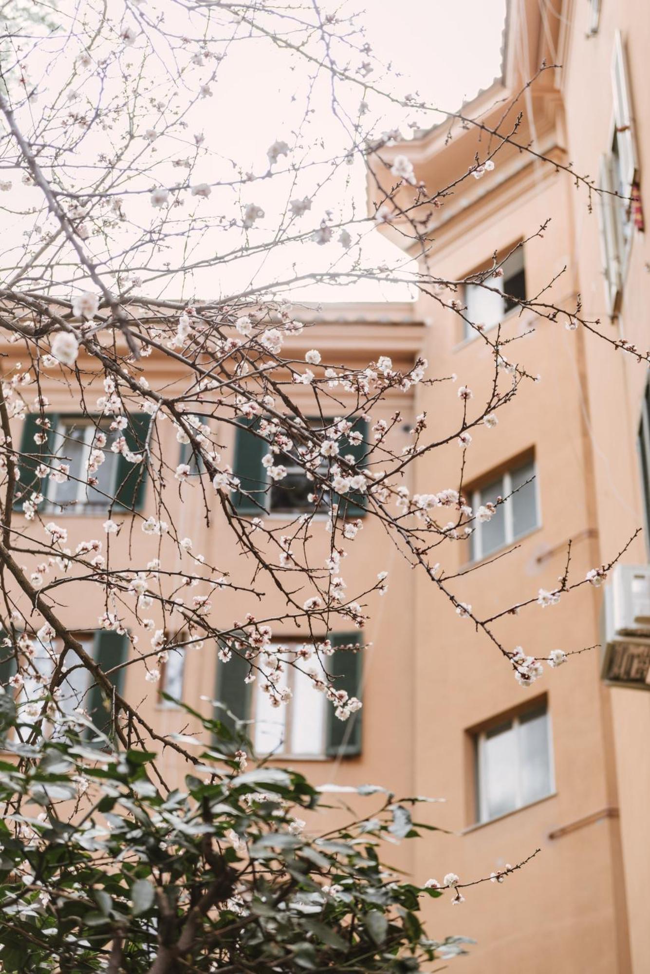 Appartamento Casa Riva 1920 Roma Esterno foto